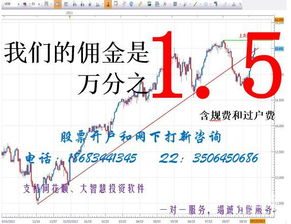 金华怎么证券开户