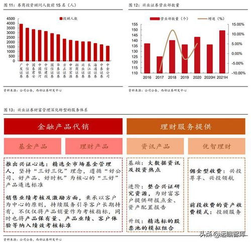 兴业证券怎么查基金
