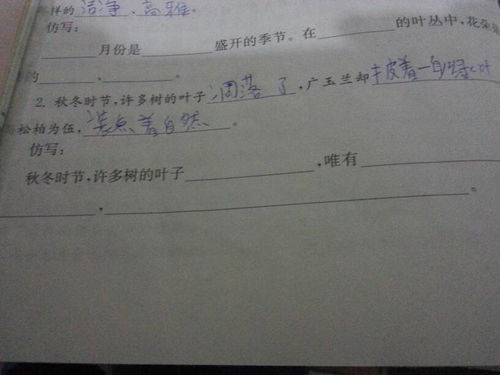 证券实习效果怎么写