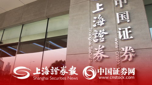 上海证券报纸公司怎么样