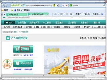怎么查询农行网银证券