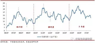 证券怎么查看历史亏损
