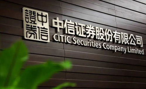 中信证券怎么看