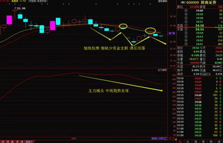 证券下跌怎么操作