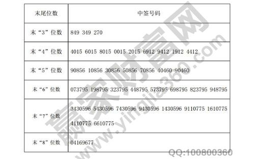 证券账户所属公司怎么查