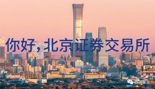 北京证券怎么交易