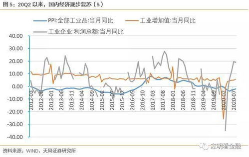 盈利证券怎么开通