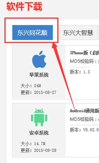 东兴证券怎么查找股