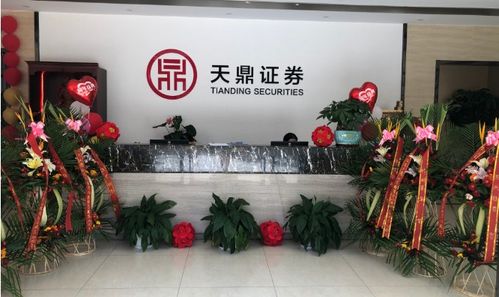 江苏天鼎证券投资咨询有限公司怎么样