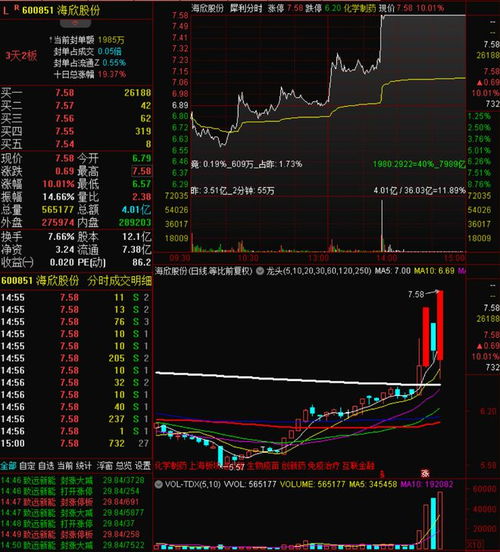 怎么找证券板块