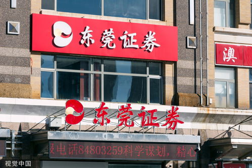 东莞证券怎么啦