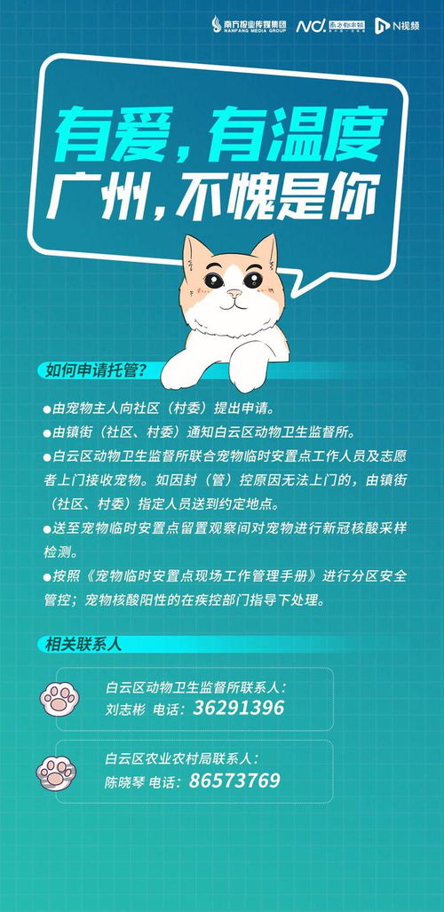 宠物证券化怎么办理 宠物证券化怎么办理