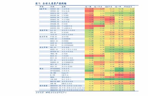 兴安证券基金怎么