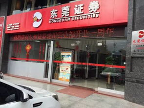 东莞证券的营业部怎么样