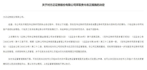 证券报告怎么查