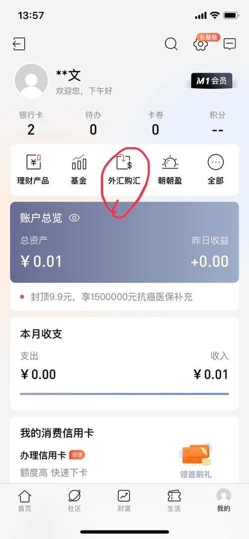 招商证券怎么买卢布