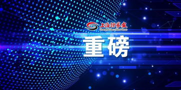 干证券工作怎么样
