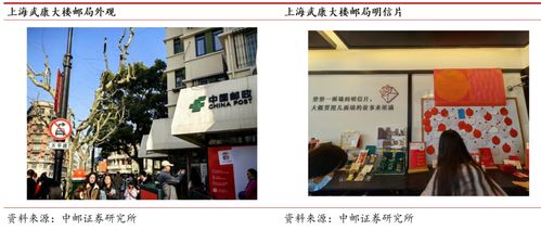 怎么查询证券分析师执照