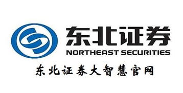大智慧证券公司怎么样