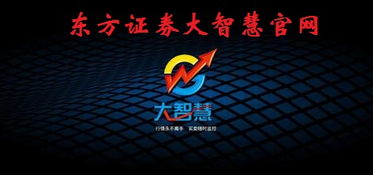 大智慧证券公司怎么样