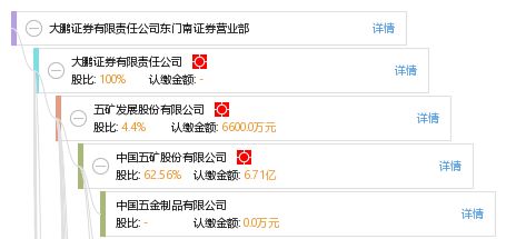 大鹏证券简介怎么写