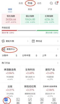 证券认购新股怎么认购
