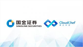 华融证券国金证券怎么样 华融证券国金证券怎么样