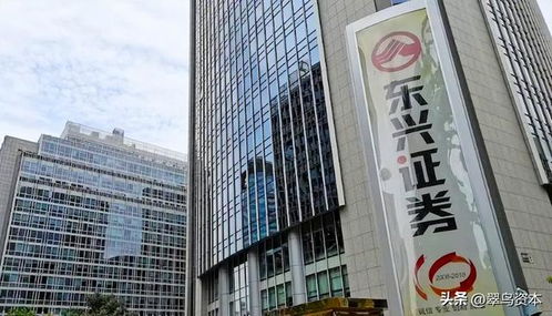 东兴证券待遇怎么样