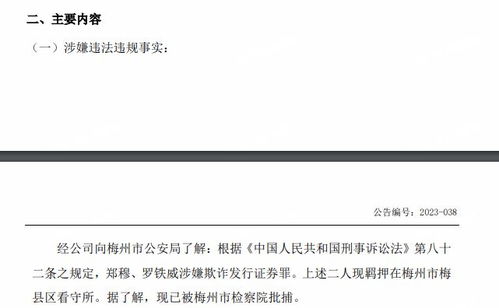 欺诈发行证券罪怎么立案 欺诈发行证券罪怎么立案