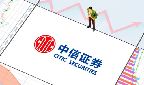 中信控股证券公司怎么样