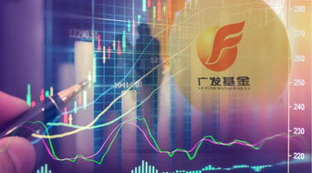 证券基金怎么拍照