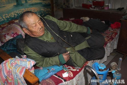 无声的守望者,老人失踪背后的隐私困境 无声的守望者,老人失踪背后的隐私困境